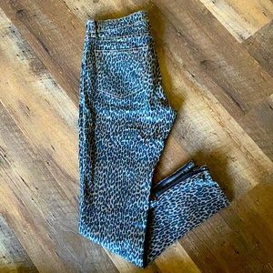Gypsy Warrior Leopard Pants